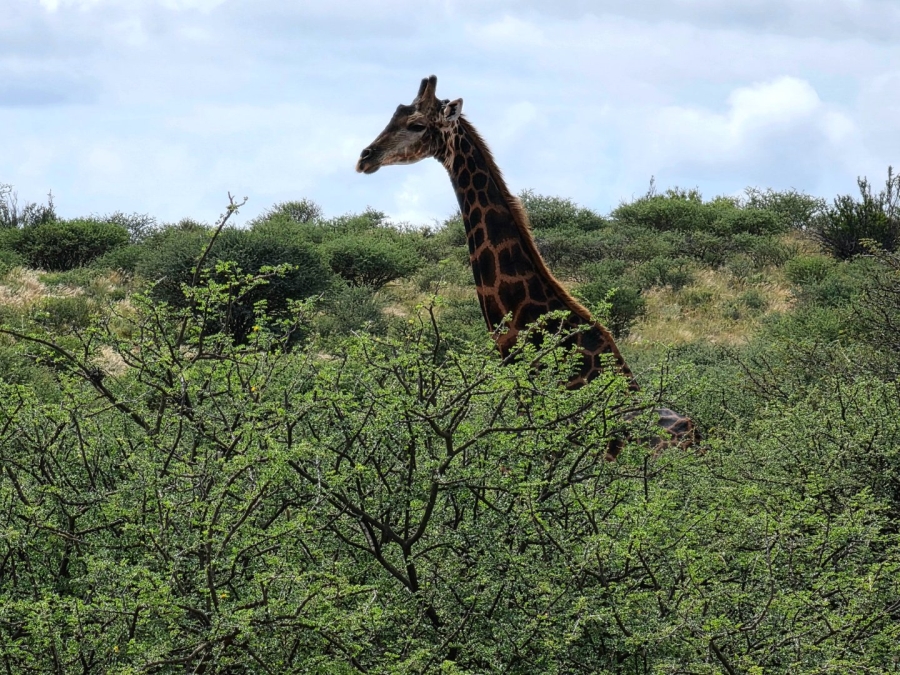 Commercial Property for Sale in Griekwastad Rural Northern Cape